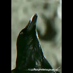 خفن