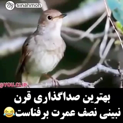 یک صدا گذاری خوب