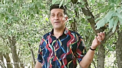 دخترم.لری.جدید