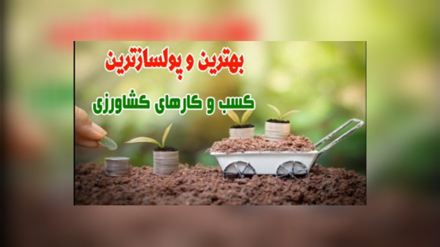 معرفی بهترین ایده سرمایه گذاری با درآمد میلیاردی برای نظامیان بازنشسته زمان134ثانیه