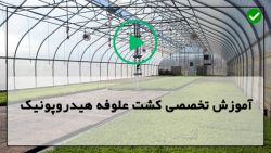 فیلم هیدروپونیک-کشت هیدروپونیک-تولید علوفه-(پرورش خیار با انرژی خورشیدی)