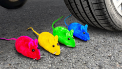 چالش:له کردن وسایل کیوت با ماش...