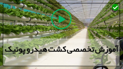 آموزش کاشت هیدروپونیک-سیستم هیدروپونیک-( اثرات منفی کودهای مایع )