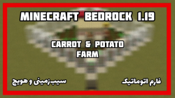 فارم هویج و سیب زمینی | Automatic carrot  potato farm