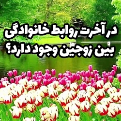 در آخرت روابط خانوادگی بین زوجین وجود دارد؟