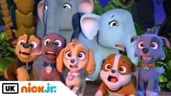 سگ های نگهبان | انیمیشن سگ های...