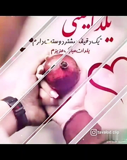 عاشقانه شادبرای عشقم|کلیپ شب یلدا|کلیپ یلدا|یلدامبارک|عاشقانه|کلیپ زیبا وضعیت|2
