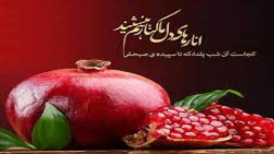 عاشقانه شادبرای عشقم|کلیپ شب یلدا|کلیپ یلدا|یلدامبارک|عاشقانه|کلیپ زیبا وضعیت|14