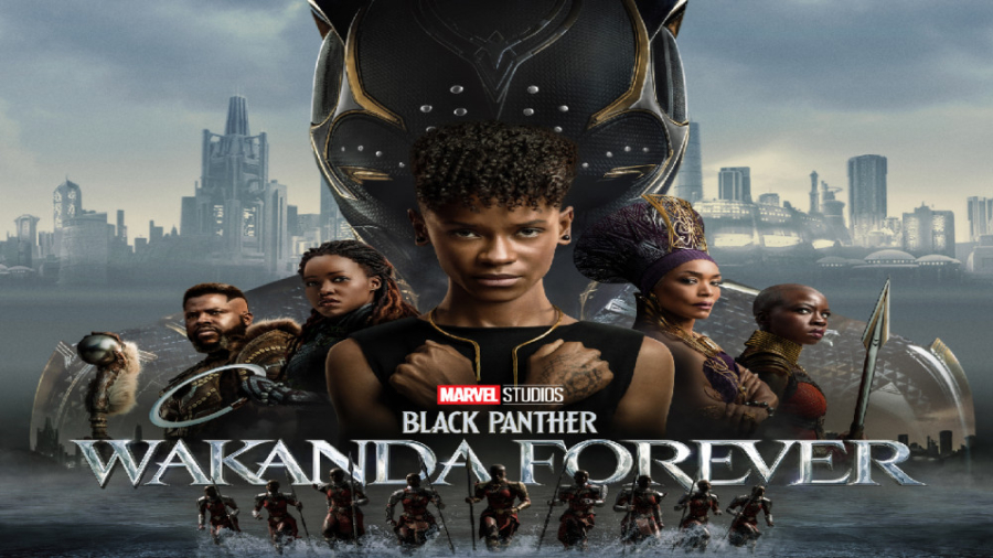 فیلم پلنگ سیاه ۲ Black Panther 2: Wakanda Forever 2022 زرنویس فارسی (کیفیت HDTS) زمان8040ثانیه
