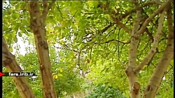 ترانه دلنشین &quot; ایران &quo...