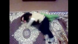 کشتی کج بچه ها