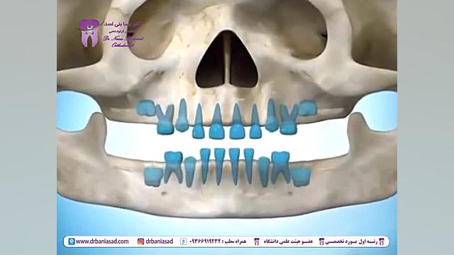 دوره تکامل دندانی از حین تولد تا 18 سالگی- دکتر نیما بنی اسد دکتر نیما بنی اسد - متخصص ارتودنسی در تهران