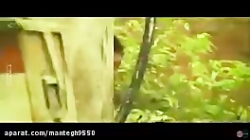 بهترین فیلم سلمان خان