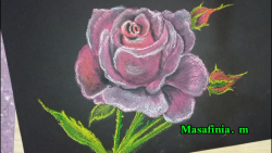 آموزش نقاشی گل رز خوشگل _با پاستل گچی