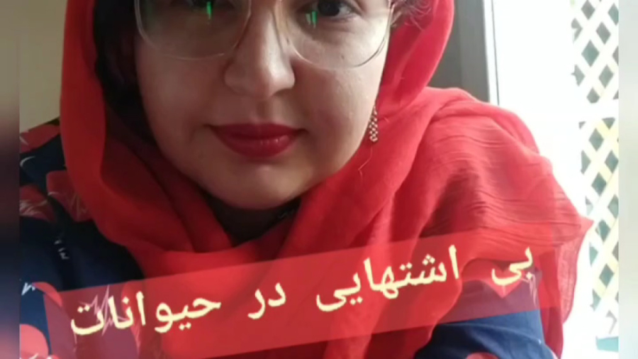 بی اشتهایی در حیوانات مرغ طوفان