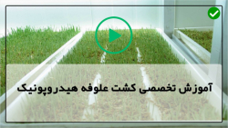 آموزش پرورش علوفه هیدروپونیک