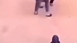 فیفا بازا سمی نشن