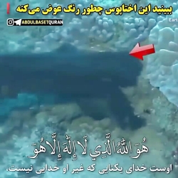 خلقت خداوند | شگفتی خلقت | قدرت خداوند | تلاوت قرآن عبدالباسط