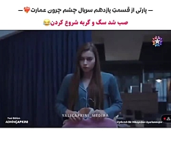 صبح های دلبرانه فرید و سیران //سریال ترکی چشم چران عمارت