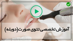 دوره آموزش تاتو صورت-آموزش تتو بدن-آرایش دائمی ابروی Ombre