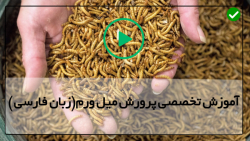 کارگاه پرورش میل ورم