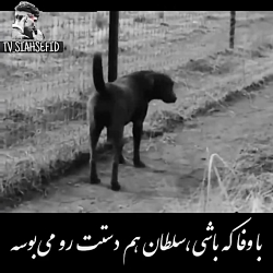 احساسی ترین آهنگ || با وفا که باشی  || غمگین احساسی || استوری واتساپ