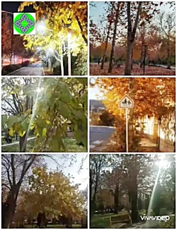سفر مجازی برای تماشای طبیعت زیبای پائیزی نطنز سفر مجازی برای تماشای طبیعت زیبای پائیزی نطنز
