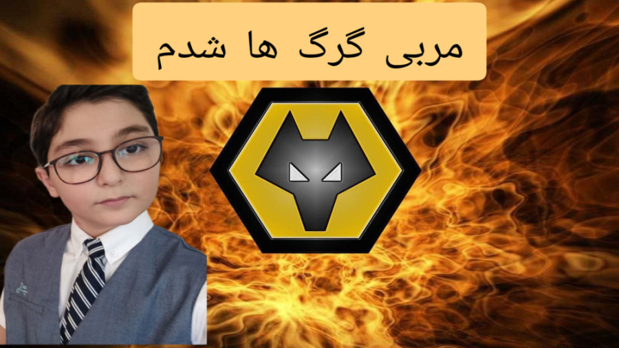 شروع کریر ابد مربی گرگ ها انگلیس شدم شروع کریر ابد مربی گرگ ها انگلیس شدم
