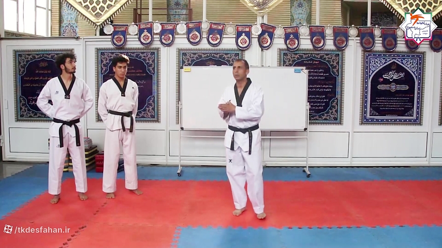 استاژ هانمادانگ با تدریس استاد...