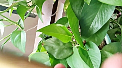 آنباکس و تجربه خرید ماکت گوشی موبایل
