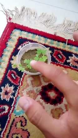 آنباکس و تجربه خرید