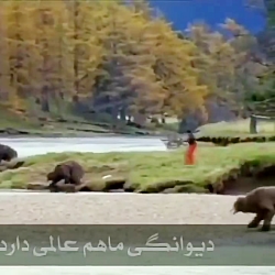 دیوانگی ما هم عالمی دارد