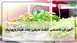 آموزش کشت صیفی جات هیدروپونیک-طریقه داربست بندی گیاهان