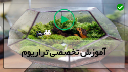 تراريوم مينياتوري