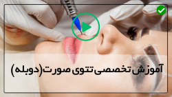 آموزش رایگان تاتو-تتو کامل صورت-میکروبلدینگ