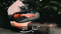 کلیپ زیبابرای وضعیت|استوری جدید|استوری اینستا|کلیپ براوضعیت واتساب|کلیپ جدید|