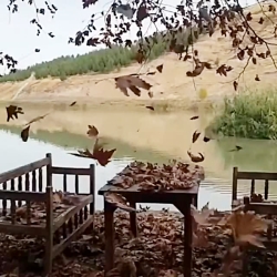خدایا- امروز دلم هوای با کسی حرف زدن دارد