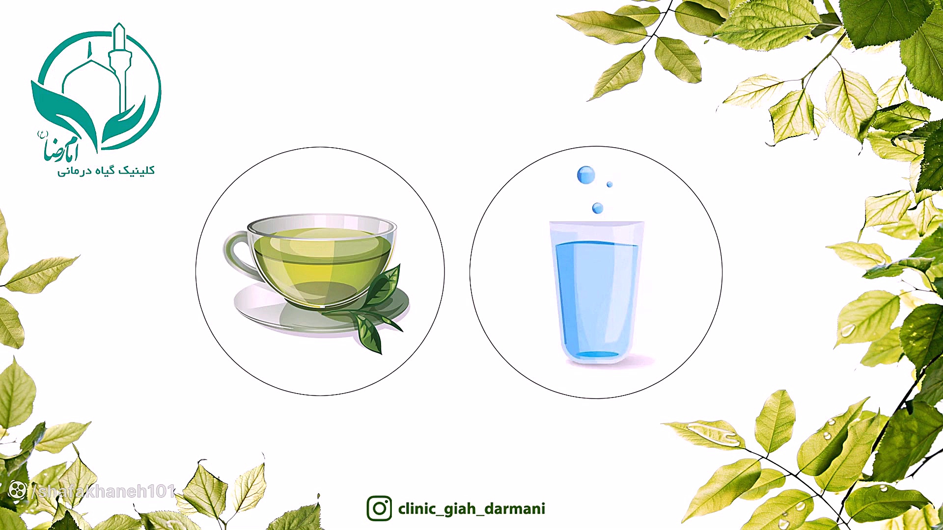 مسکن گیاهی قوی برای درد آرتروز و روماتیسم (دکتر یاسر پاریاب) زاویه سازی صورت