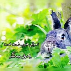 خدایا با امید نامت را می خوانم تا دلم آرام گیرد