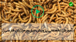 راهنمای کامل پرورش میل ورم