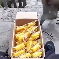 خدا بیا مرزه هرکی میاد ومیره د...