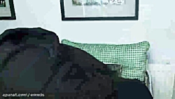 خلاصه فیلم غورباغه با مترزک