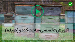 آموزش پرورش زنبور عسل-تولید عسل طبیعی-(اصول راه اندازی پرورش زنبور عسل)