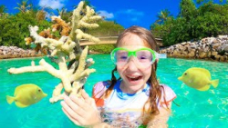 برنامه کودک ناستیا ، موجودات د...