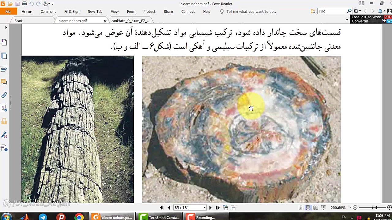 علوم نهم فصل هفتم ( آثاری از گذشته زمین) بخش اول کانال آموزشی دکتر رضا عسگری