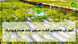 نحوه ی ساخت گلخانه هیدروپونیک خانگی