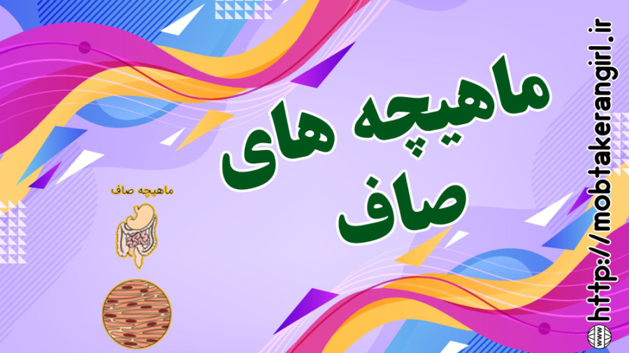 ماهیچه های صاف مرغ طوفان