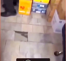 یاغی میبینم