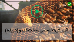 آموزش زنبورداری-پرورش زنبور عسل-راه های شروع زنبورداری