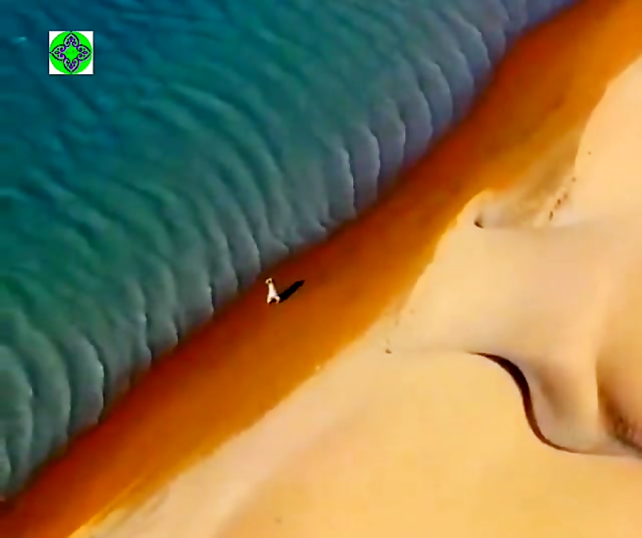 سفر مجازی به بندر تنگ